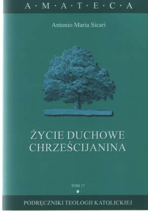 Życie duchowe chrześcijanina. Seria: - okładka książki