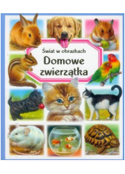 Domowe zwierzątka. Świat w obrazkach - okładka książki