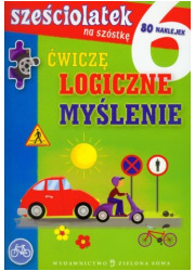 Sześciolatek na szóstkę. Ćwiczę - okładka książki