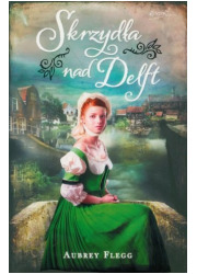 Skrzydła nad Delft - okładka książki