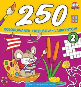 250 kolorowanek rebusów labiryntów - okładka książki