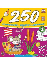 250 kolorowanek rebusów labiryntów - okładka książki