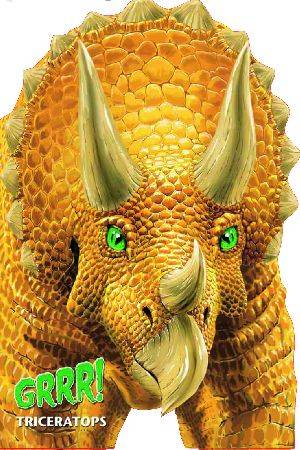 Grrr! Triceratops - okładka książki