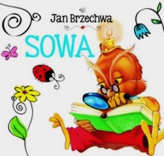 Sowa. Biblioteczka niedźwiadka - okładka książki