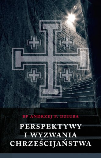Perspektywy i wyzwania chrześcijaństwa - okładka książki