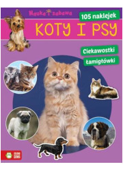 Koty i psy - okładka książki
