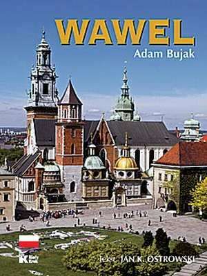Wawel. Skrócona wersja monumentalnego - okładka książki