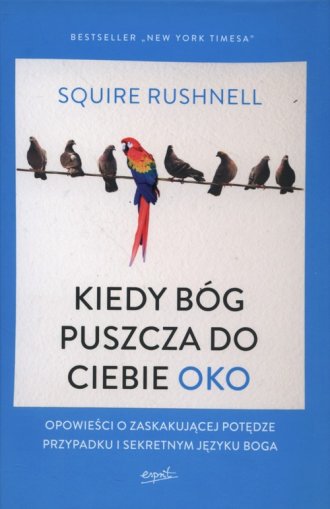 Kiedy Bóg puszcza do ciebie oko - okładka książki