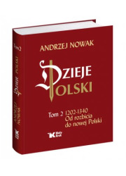 Dzieje Polski. Tom 2. 1203-1340. - okładka książki
