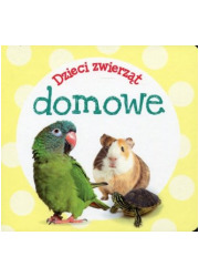 Dzieci zwierząt - domowe - okładka książki