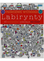 Prawdziwe wyzwania. Labirynty - okładka książki