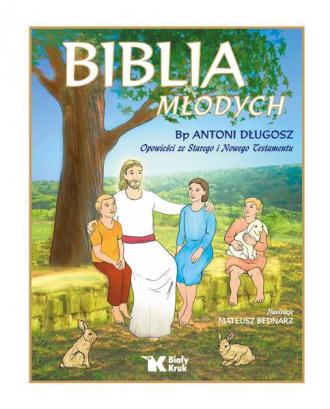 Biblia Młodych. Opowieści ze Starego - okładka książki