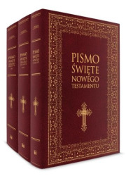 Pismo Święte Starego i Nowego Testamentu - okładka książki