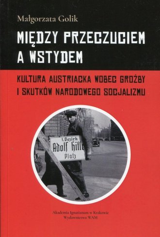 Między przeczuciem a wstydem. Kultura - okładka książki