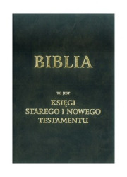 Biblia to jest księgi Starego i - okładka książki