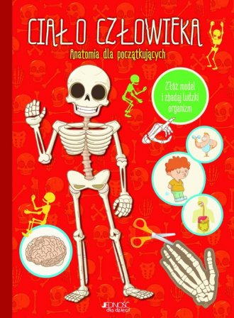 Ciało człowieka. Anatomia dla początkujących - okładka książki