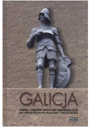 Galicja. Studia z dziejów społeczno-gospodarczych - okładka książki