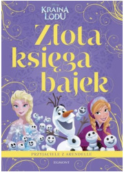 Przyjaciele z Arendelle Kraina - okładka książki