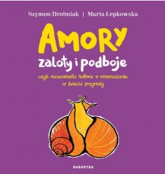 Amory zaloty i podboje - okładka książki