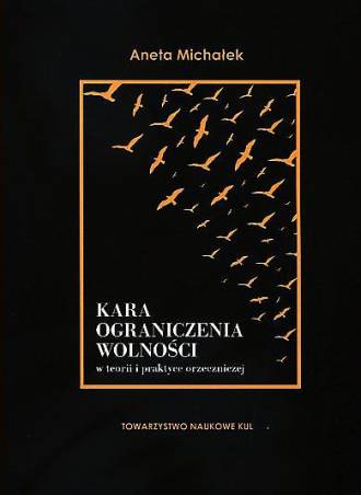 Kara ograniczenia wolności w teorii - okładka książki