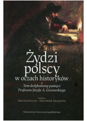 Żydzi polscy w oczach historyków - okładka książki