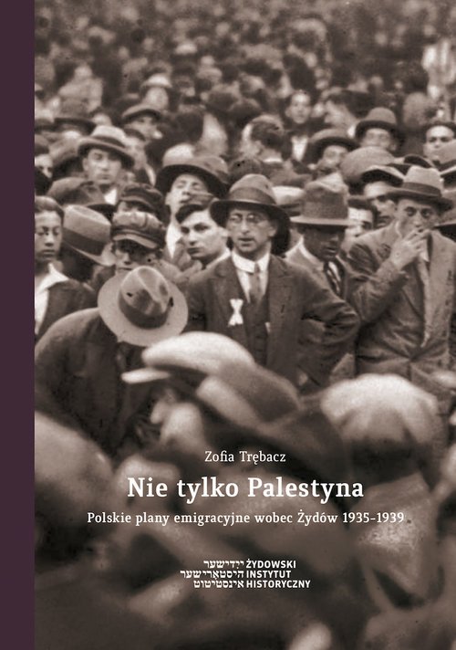 Nie tylko Palestyna. Polskie plany - okładka książki