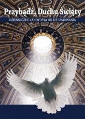 Przybądź, Duchu Święty - cykl jednoroczny - okładka książki