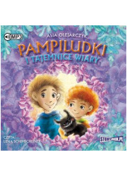  - pudełko audiobooku