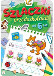 Szlaczki przedszkolaka od 6 lat - okładka książki