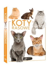 Koty rasowe - okładka książki