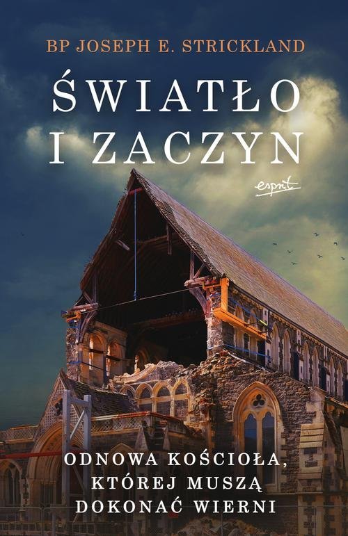 Światło i zaczyn. Odnowa Kościoła, - okładka książki