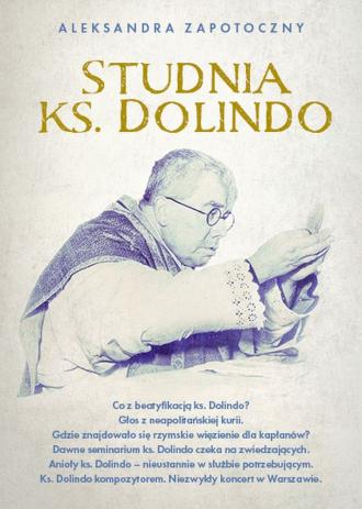 Studnia Dolindo - okładka książki