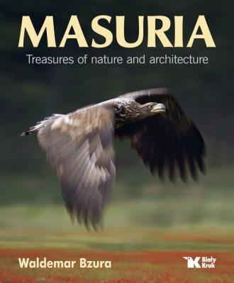 Mazury. Skarby przyrody i architektury - okładka książki