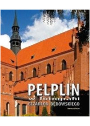 Pelplin w fotografii Cezarego Dębowskiego - okładka książki