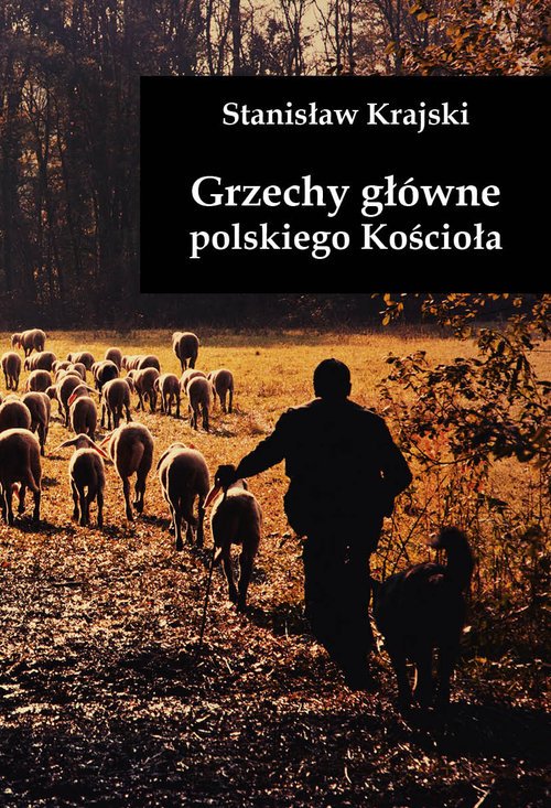 Grzechy główne polskiego Kościoła - okładka książki