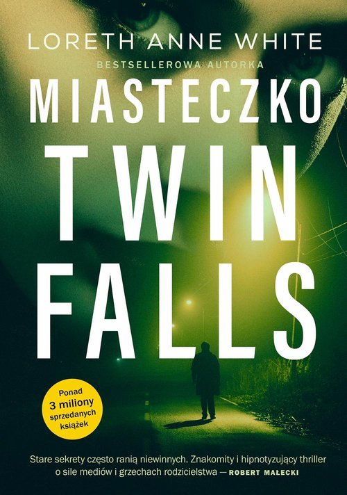 Miasteczko Twin Falls - okładka książki