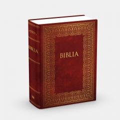 Biblia - okładka książki