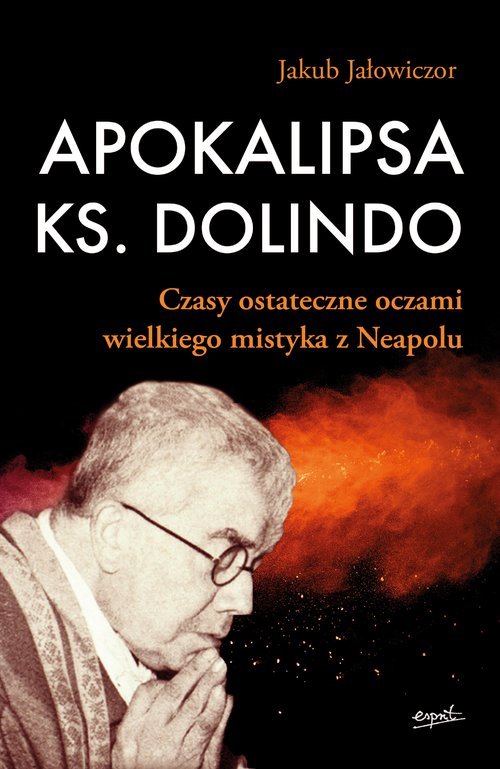 Apokalipsa ks. Dolindo. Czasy ostateczne - okładka książki