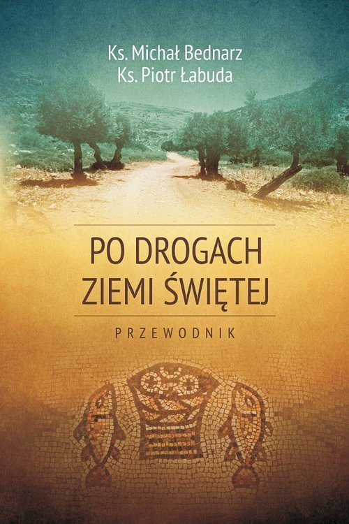 Po drogach Ziemi Świętej. Przewodnik - okładka książki