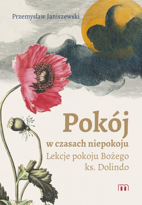 Pokój w czasach niepokoju. Lekcje - okładka książki