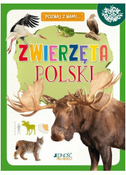  - okładka książki