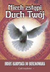 Niech zstąpi Duch Twój - cykl trzyletni - okładka książki