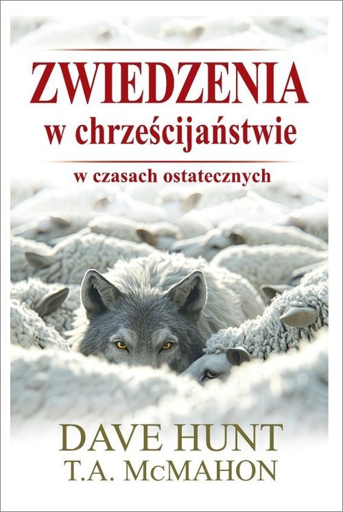 Zwiedzenia w chrześcijaństwie w - okładka książki