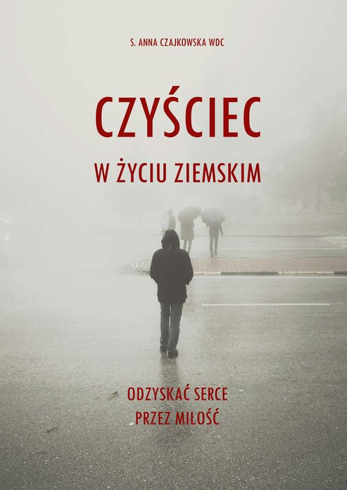 Czyściec w życiu ziemskim. Odzyskać - okładka książki