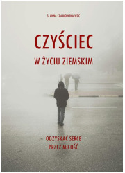 Czyściec w życiu ziemskim. Odzyskać - okładka książki