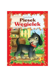  - okładka książki