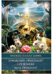 Stworzenie i wieczność. Czy w niebie - okładka książki
