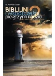 Biblijni i współcześni pilelgrzymi - okładka książki