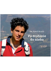 Perełka 336. Po drabinie do nieba - okładka książki