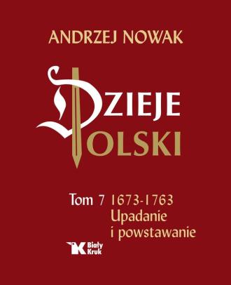 Dzieje Polski. Upadanie i powstawanie - okładka książki